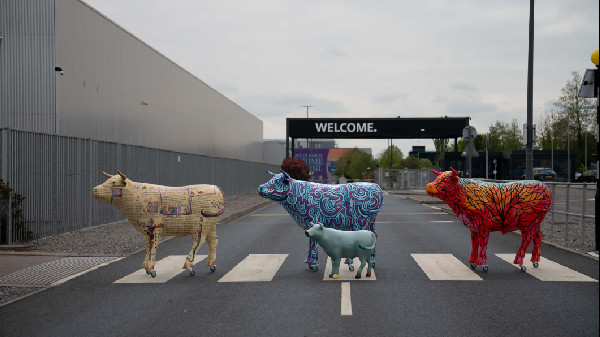 MINI Supports OxTrail 2024 Charity