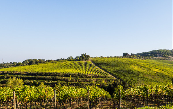 Maserati's Electric Luxury Tribute