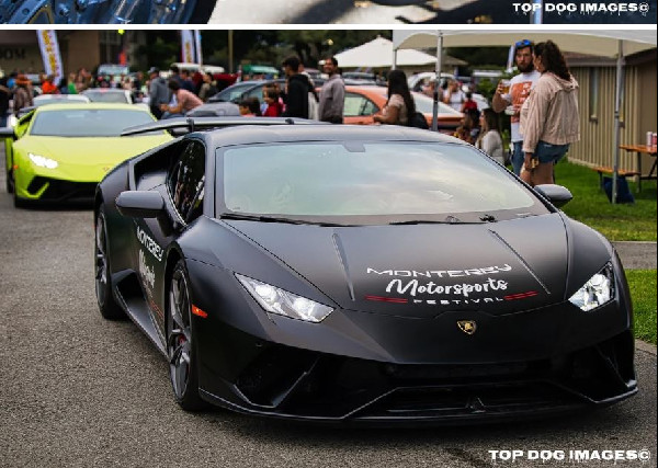 Mecum Sponsors Monterey Festival '24