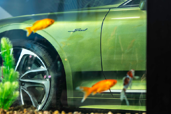 Bentley GT Speed Debuts at Goodwood