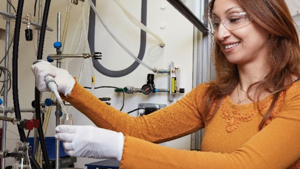 Dr. Mohtadi Named ECS Fellow