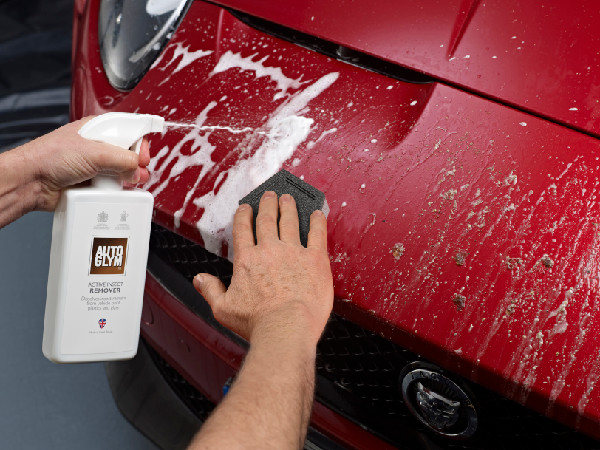 Wet Summer Raises Car Bug Splats Wet Summer Raises Car Bug Splats