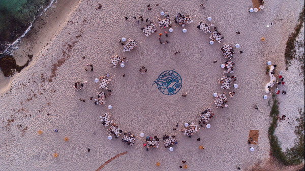 Bentley's Kelp Restoration Effort Bentley's Kelp Restoration Effort