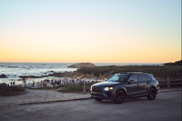 Bentley's Kelp Restoration Effort Bentley's Kelp Restoration Effort