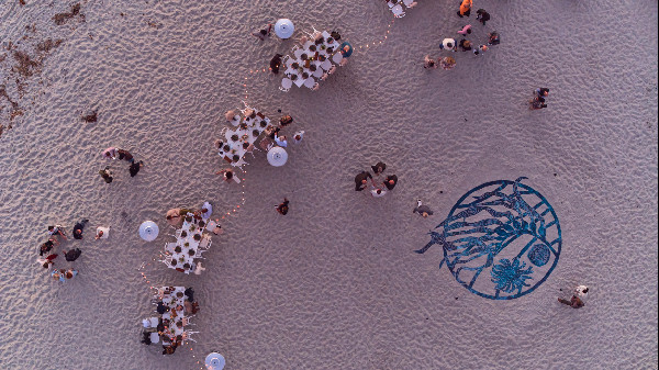 Bentley's Kelp Restoration Effort Bentley's Kelp Restoration Effort