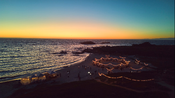 Bentley's Kelp Restoration Effort Bentley's Kelp Restoration Effort
