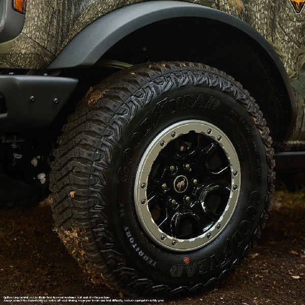 Ford Unveils Bronco Sasquatch Searcher Sweepstakes