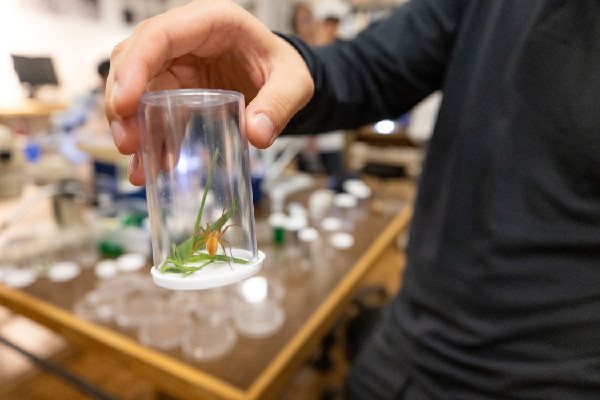 Hyundai and RISD Launch New Regeneration Studio