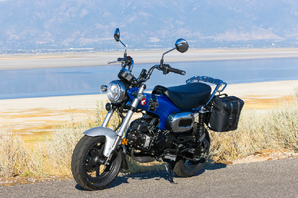 Honda Dax 125 Coming to U.S. in 2025