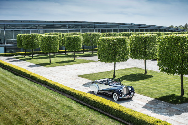 1940s Rolls-Royce Silver Dawn Overview