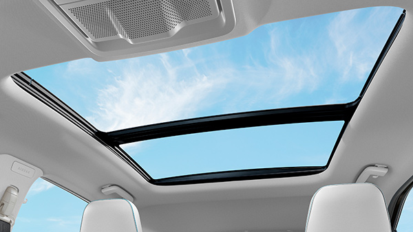 Tata Nexon EV 45kWh Roof