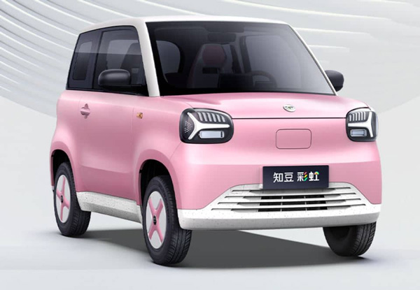 China s EV Investment Warning to India