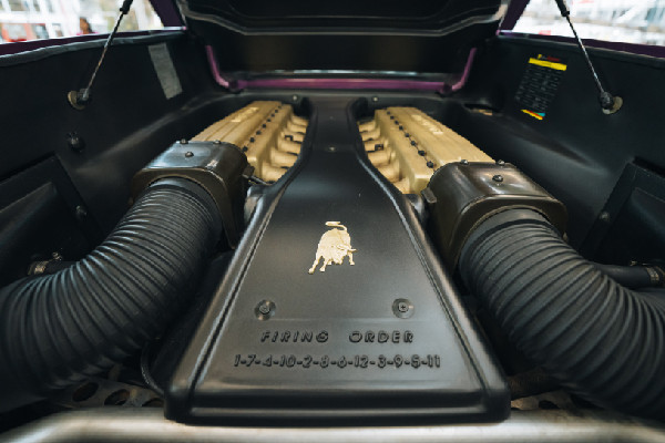 Lamborghini Displays Classic Cars at Event