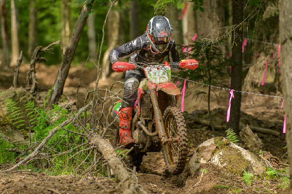 Honda Unveils Updated Red Rider Rewards Program