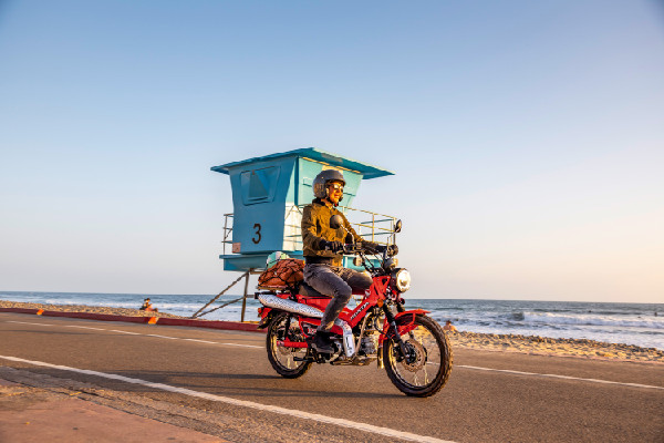 Honda Returns Four Two-Wheel Models for 2025