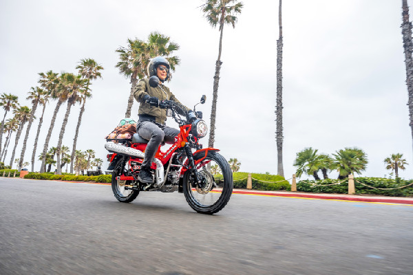 Honda Returns Four Two-Wheel Models for 2025