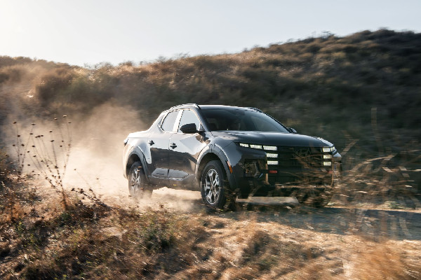 Winners of Latin Flavor Cars of the Year 2025