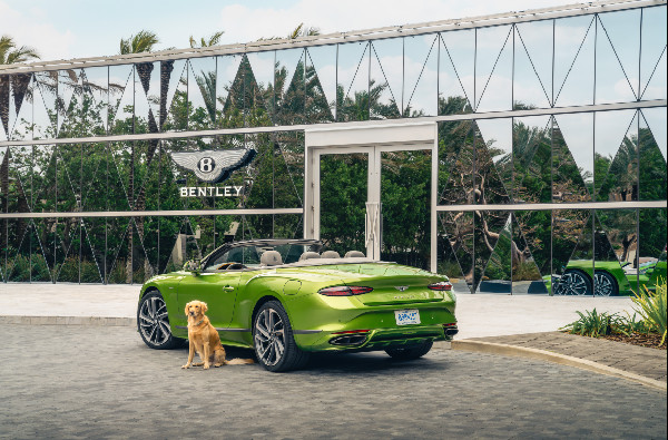 Luxury Amenities at Bentley Residences Revealed