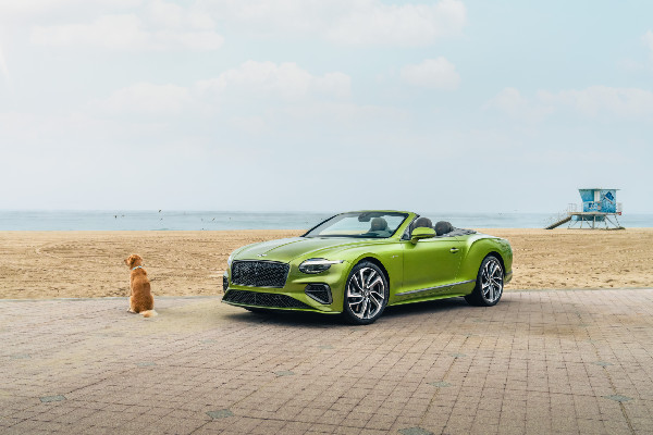 Luxury Amenities at Bentley Residences Revealed