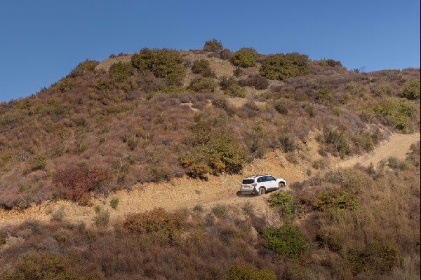 2026 Subaru Forester Wilderness: Trail-Ready SUV