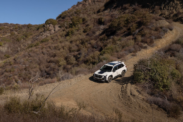 2026 Subaru Forester Wilderness: Trail-Ready SUV