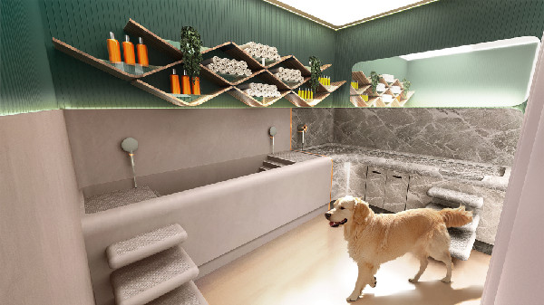 Luxury Amenities at Bentley Residences Revealed