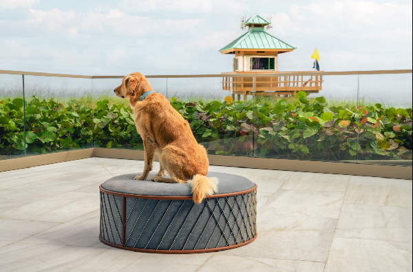 Luxury Amenities at Bentley Residences Revealed