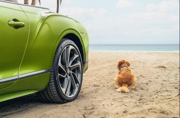 Luxury Amenities at Bentley Residences Revealed