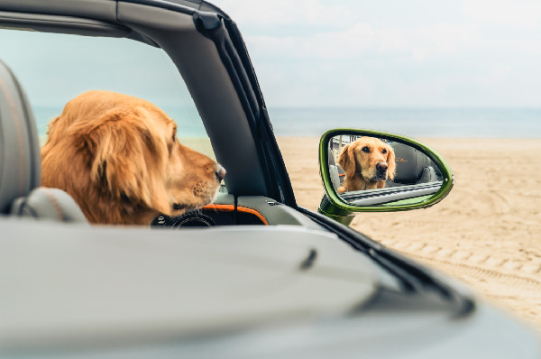 Luxury Amenities at Bentley Residences Revealed