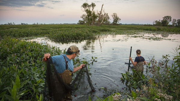 Kia America and Nature Conservancy Join Forces