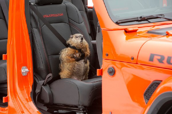 Jeep's Groundhog Day Ad Wins Top Honour