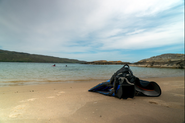 Dacia Duster Supports WWII Expedition in Scotland