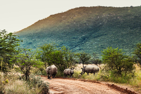 Dacia Sandriders Secure Podium in South Africa