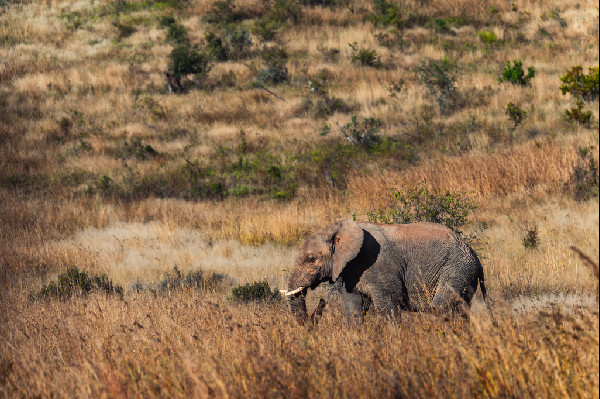 Dacia Sandriders Secure Podium in South Africa