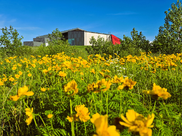Toyota Mississippi Centre Achieves LEED Platinum Status