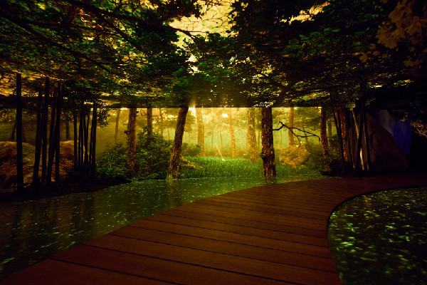 Gwyneth Paltrow Presents 'The Forest Within' Retreat