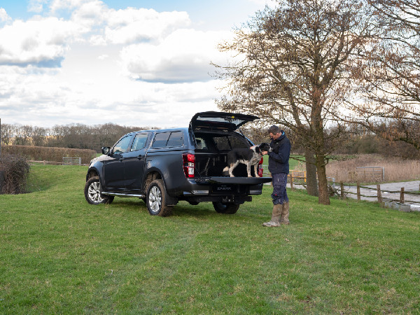 Best Dog Walks in the UK Revealed