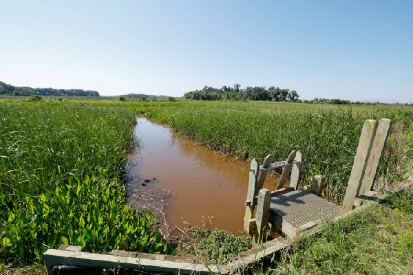 Hyundai Supports Community Health in Georgia