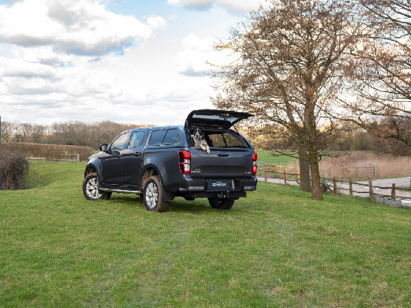 Best Dog Walks in the UK Revealed