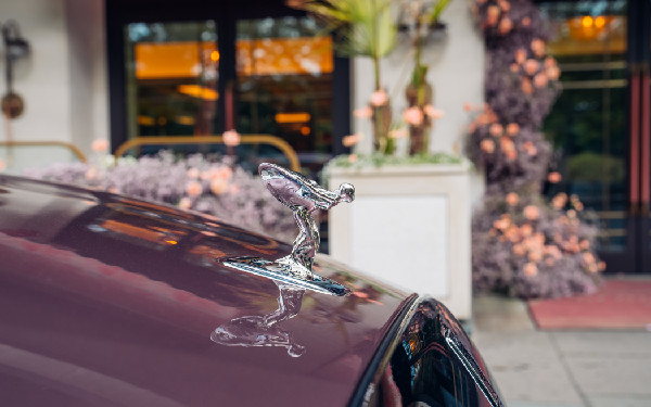 Bespoke Rolls-Royce Spectre Inspired by Velvet Orchid