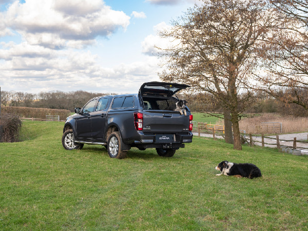 Best Dog Walks in the UK Revealed