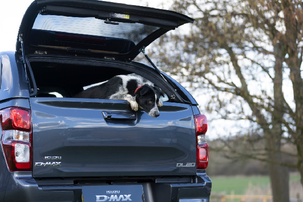 Best Dog Walks in the UK Revealed