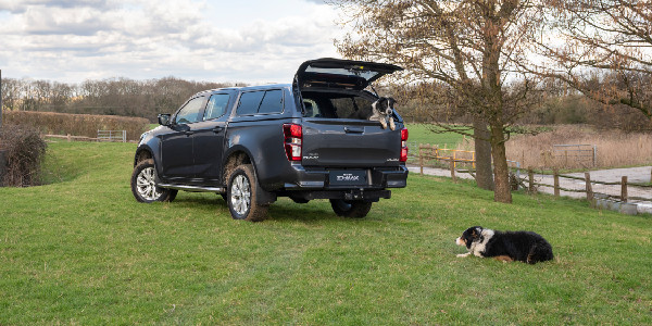 Best Dog Walks in the UK Revealed