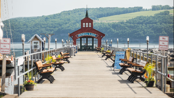 Porsche Leads Championship at Watkins Glen Race