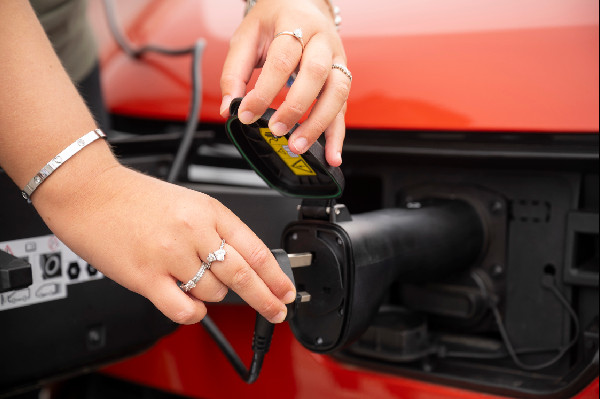 Dacia Spring Celebrates National Fish and Chip Day