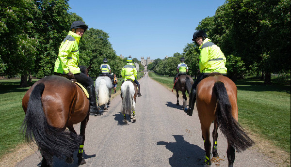 Key Road Safety Lessons from Horseback Ride