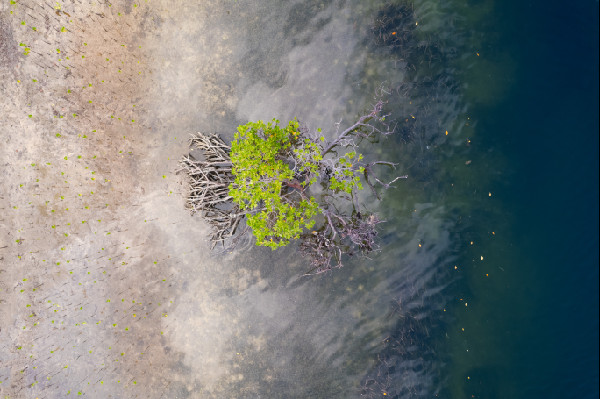 Bentley Foundation Celebrates Second Anniversary