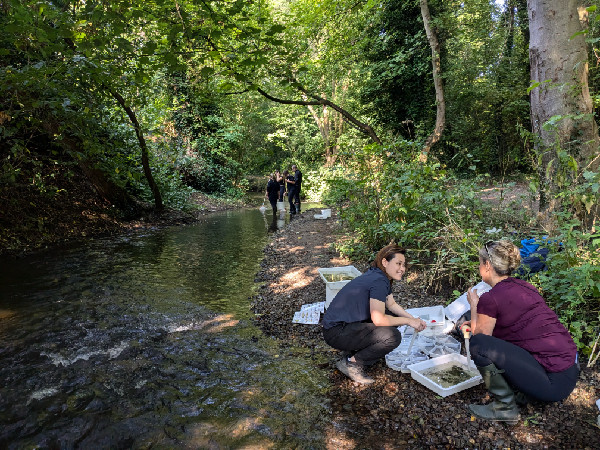 Bentley Foundation Celebrates Second Anniversary