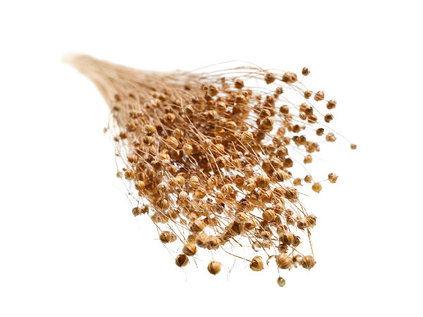 BMW Group's Breakthrough in Natural Fiber Composites