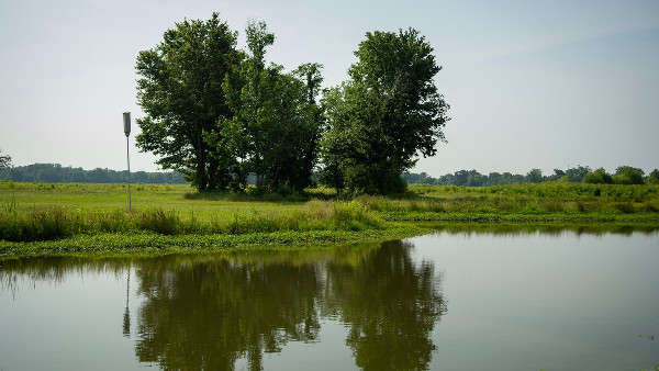 Toyota Tennessee Supports Education at State Park